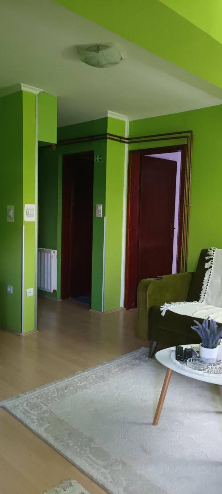Apartman Gaga Lejlighed Pirot Eksteriør billede